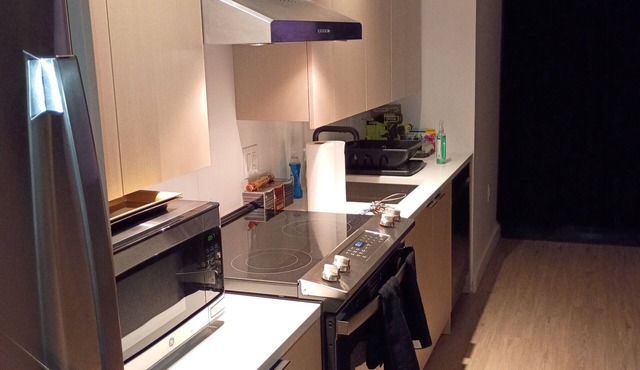 Super Luxury 1-bedroom apartment with amazing view of New Roc city, with extra