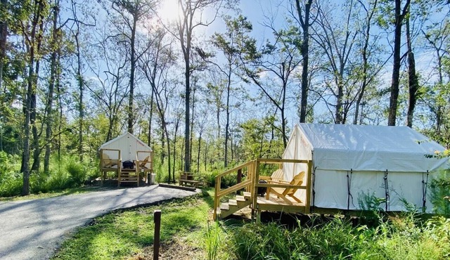 Tentrr State Park Site - Louisiana Tickfaw State Park - Woodland D - Double Camp