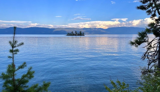 The Flathead VRBO