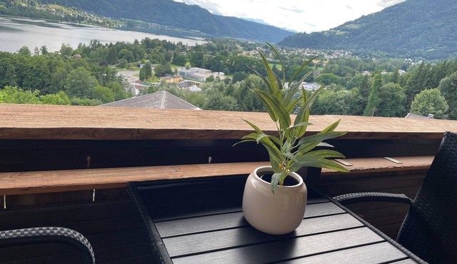 "The Lakeview" HAS EXPANDED: Rooftop Apartment 1.