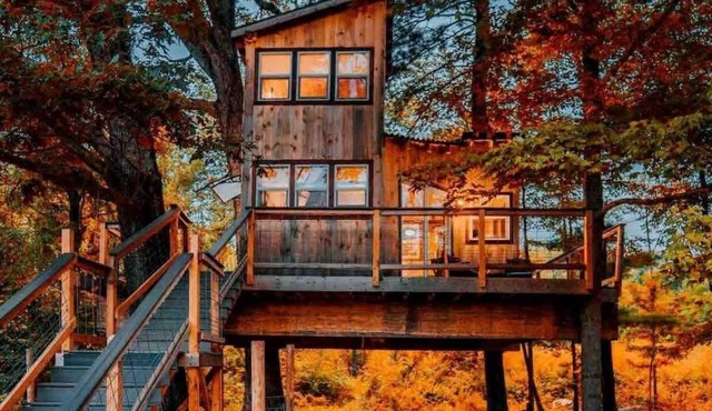 Treehouse - Countryside - Farm Animals - Fire Pit