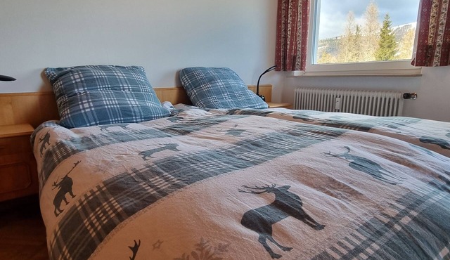 Vacation above the clouds with lake view and mountain panorama! Pet friendly