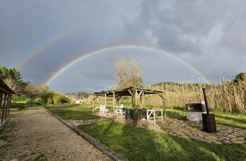 Valvida in Alcobaca