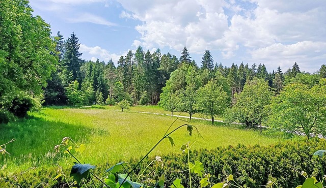 Wörtherseenahe Ferienwohnung im Grünen by Interhome