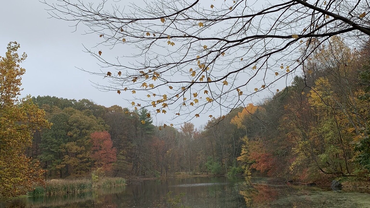 Photo of Outdoor in Croton-on-Hudson