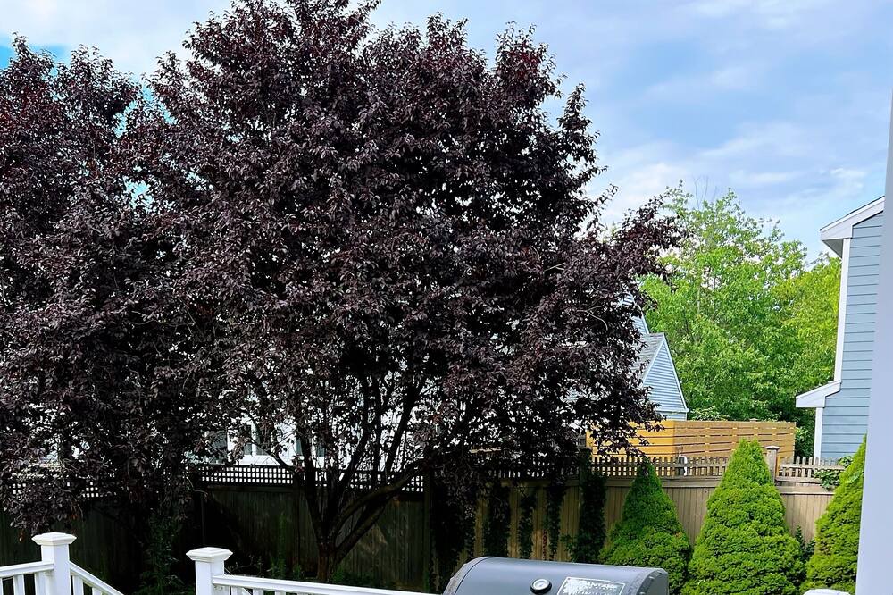 Photo of Patio Balcony in Cove - East Side - Shippan