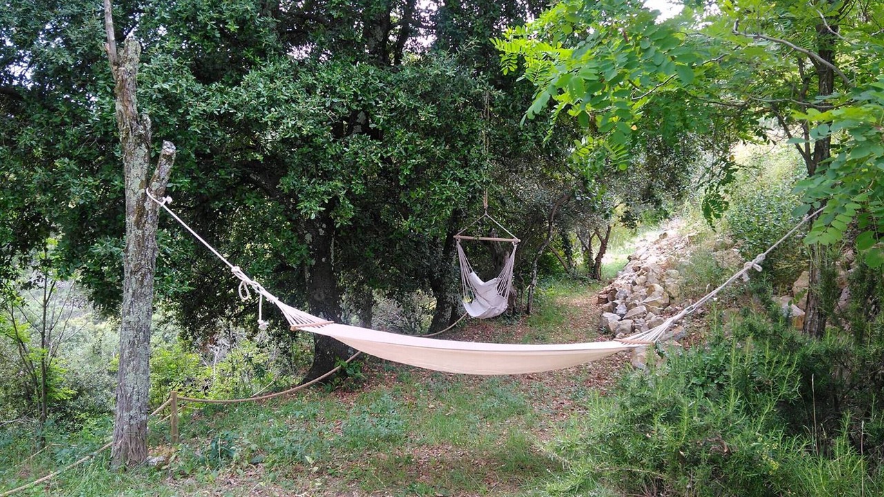 Photo of Outdoor in Sampzon