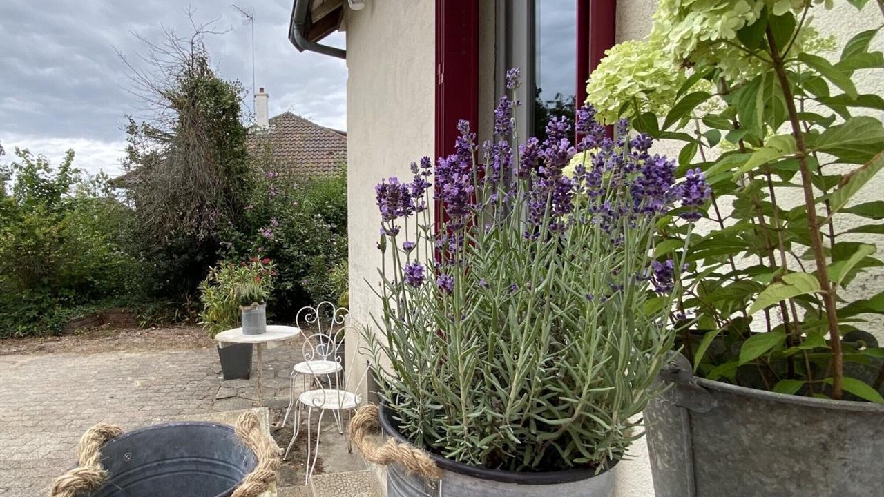 Photo of Outdoor in Yzeure