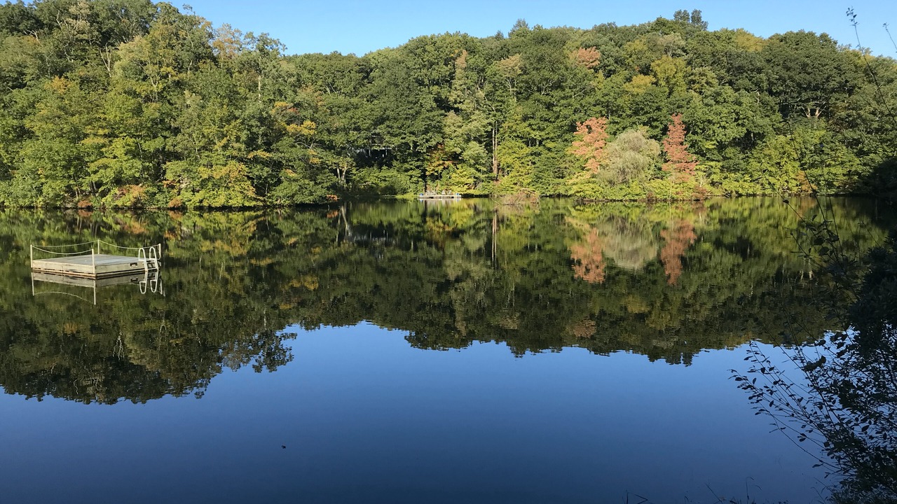 Photo of Outdoor in Bedford