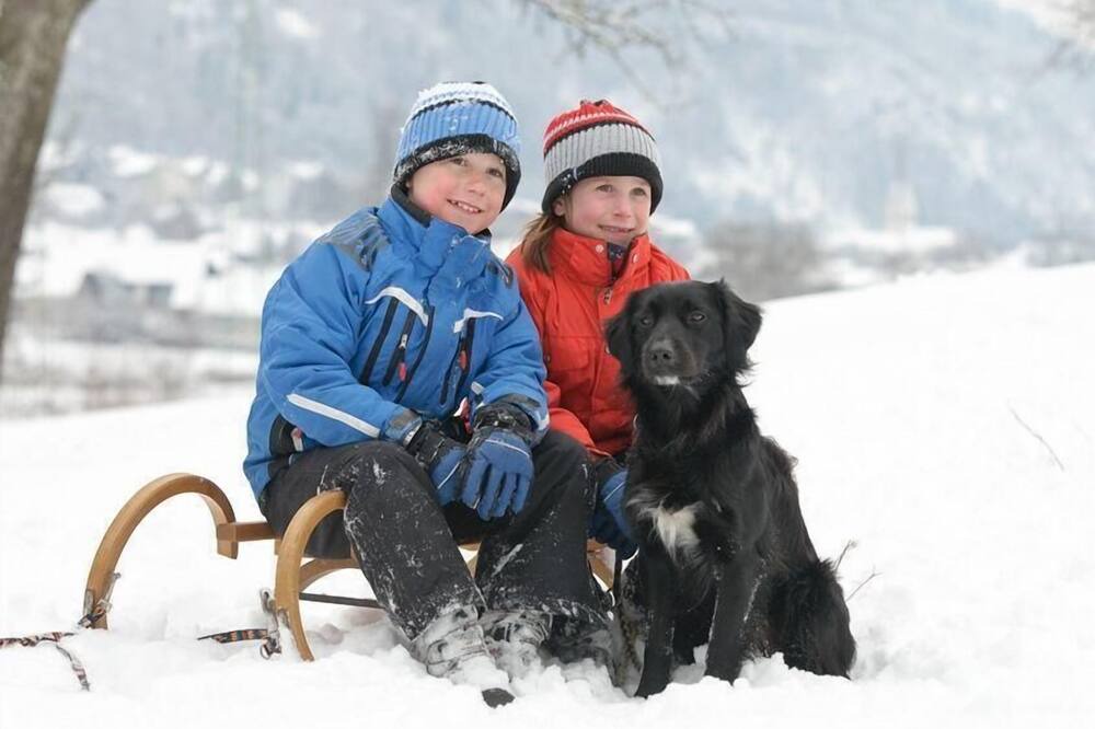 Photo of Others in Arriach