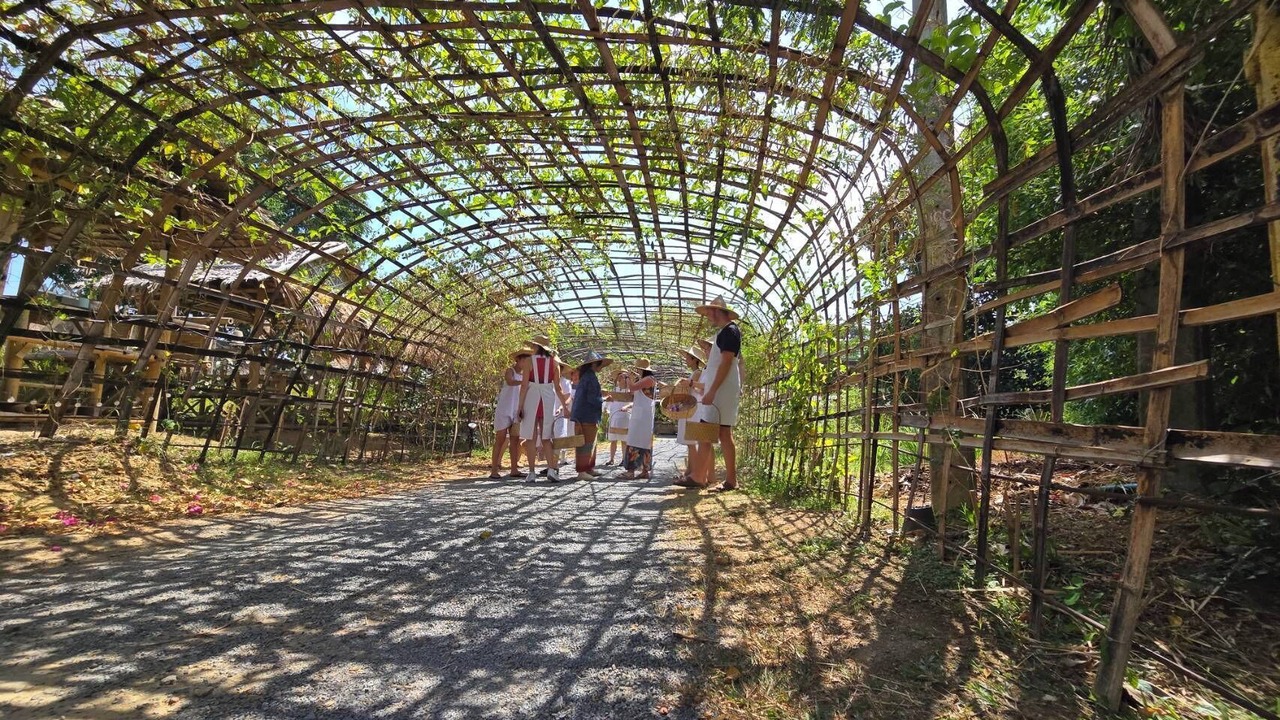 Photo of Others in Wichit