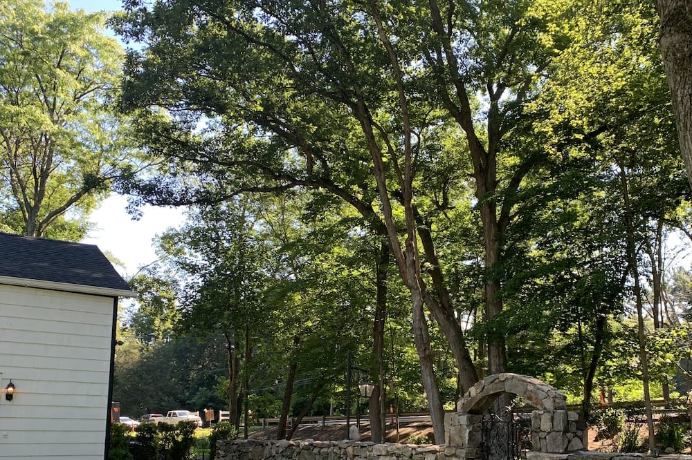 Photo of Outdoor in Westport