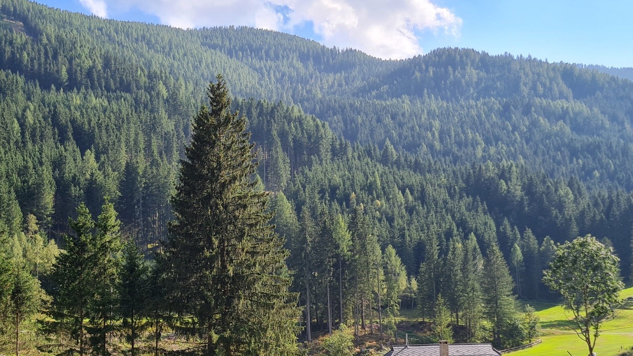 Photo of Outdoor in Reichenau