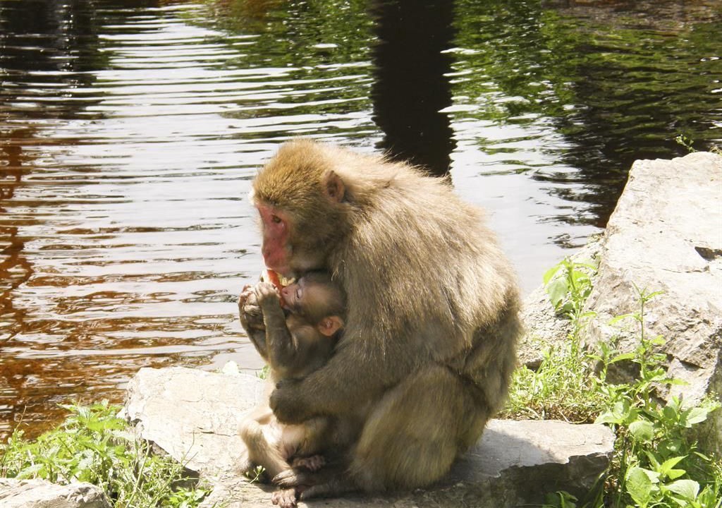 Photo of Others in Ossiach