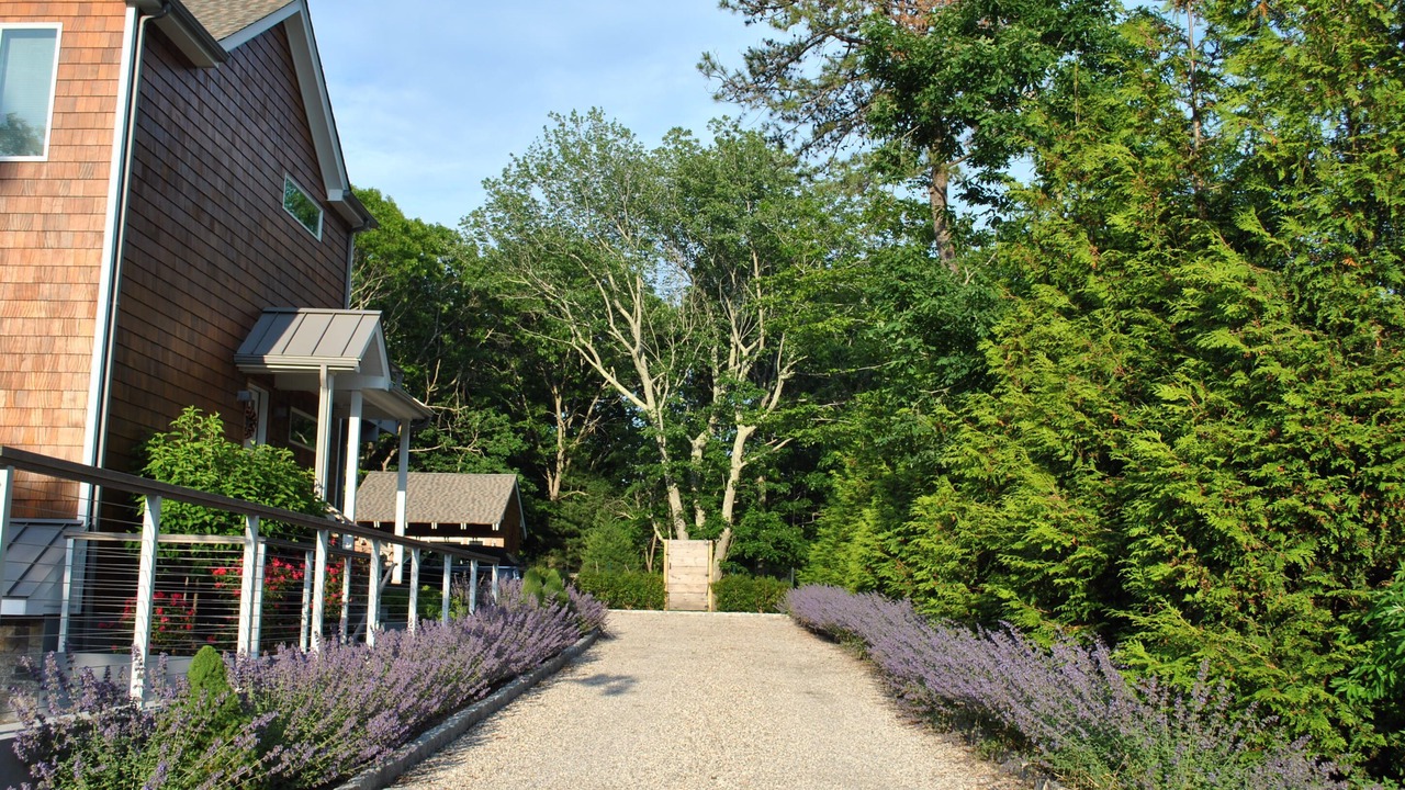 Photo of Outdoor in Springs
