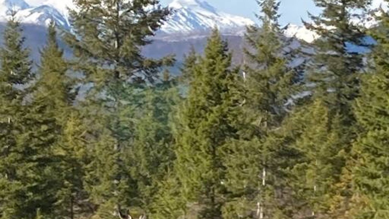 Photo of Others in West Glacier