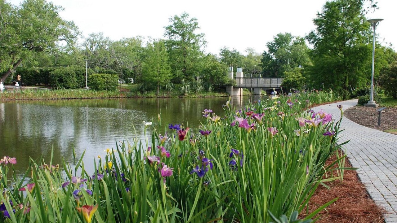 Photo of Others in Bayou St. John