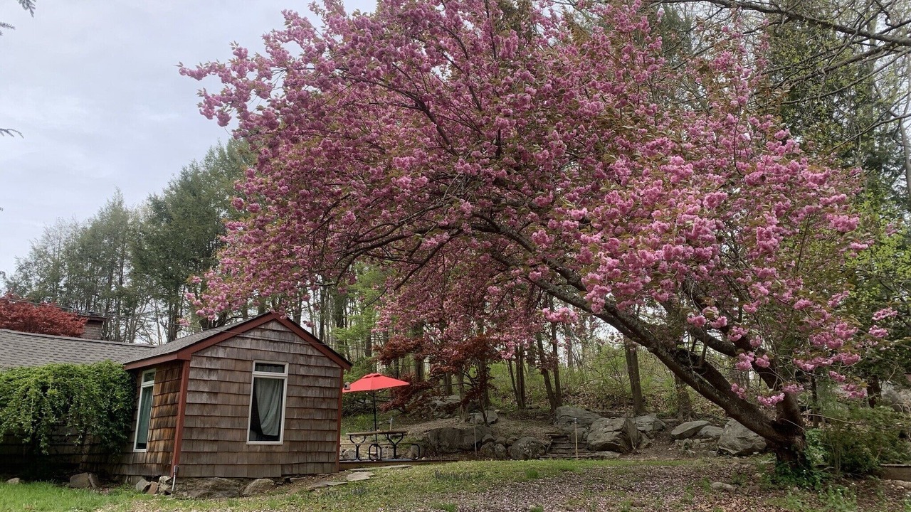 Photo of Outdoor in Lewisboro