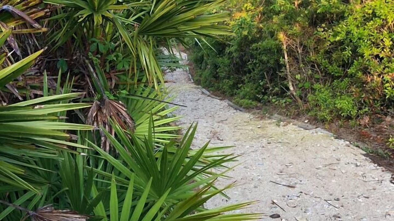 Photo of Others in Vilano Beach