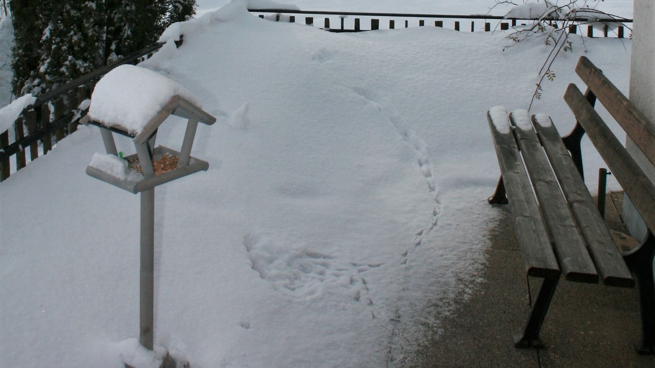 Photo of Outdoor in Gnesau