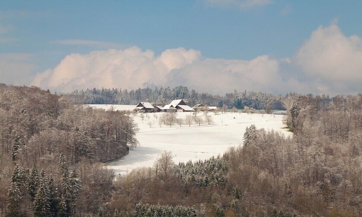 Photo of Others in Dietikon District