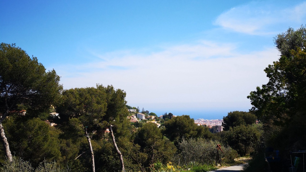 Photo of Outdoor in Nice