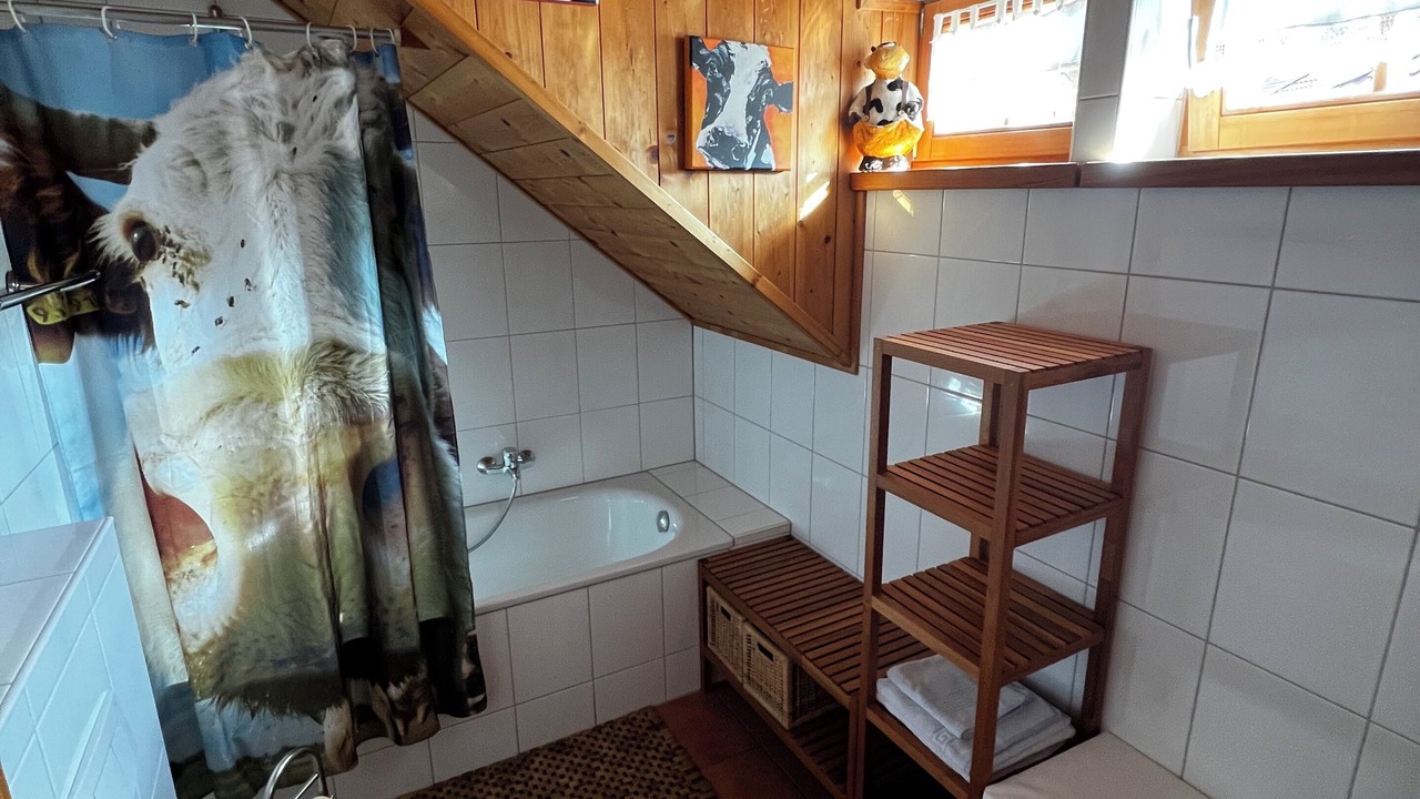 Photo of Bathroom in Reichenau