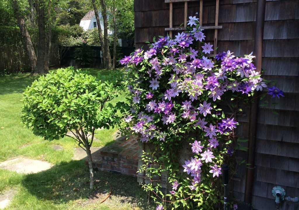 Photo of Outdoor in Village of East Hampton