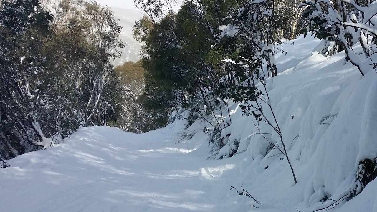 Photo of Others in Thredbo