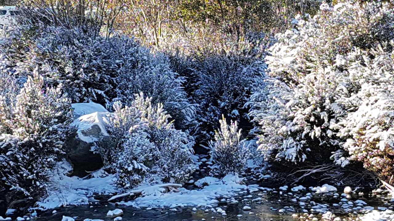 Photo of Others in Thredbo