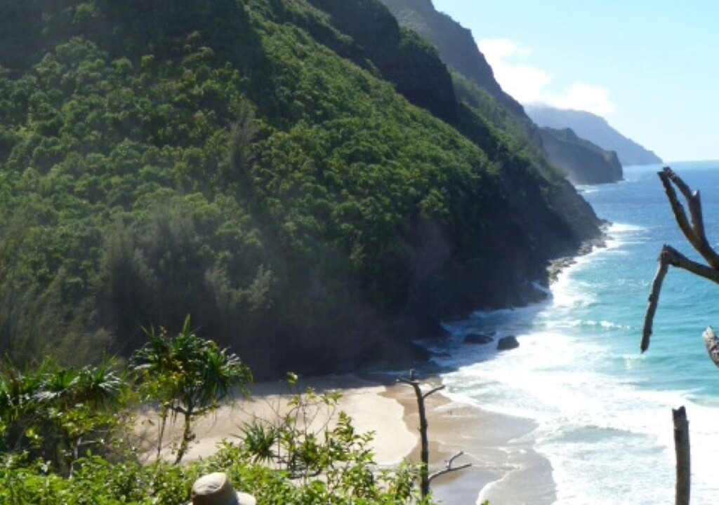 Photo of Others in Poipu