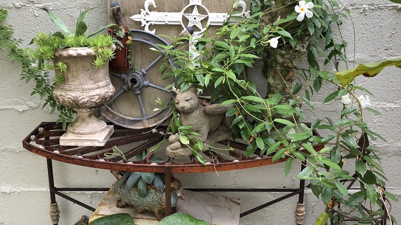 Photo of Outdoor in Central Carrollton Association