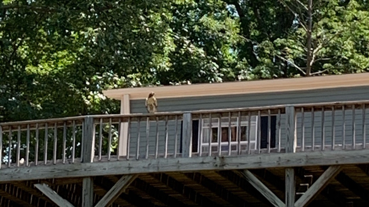 Photo of Others in Mayhew