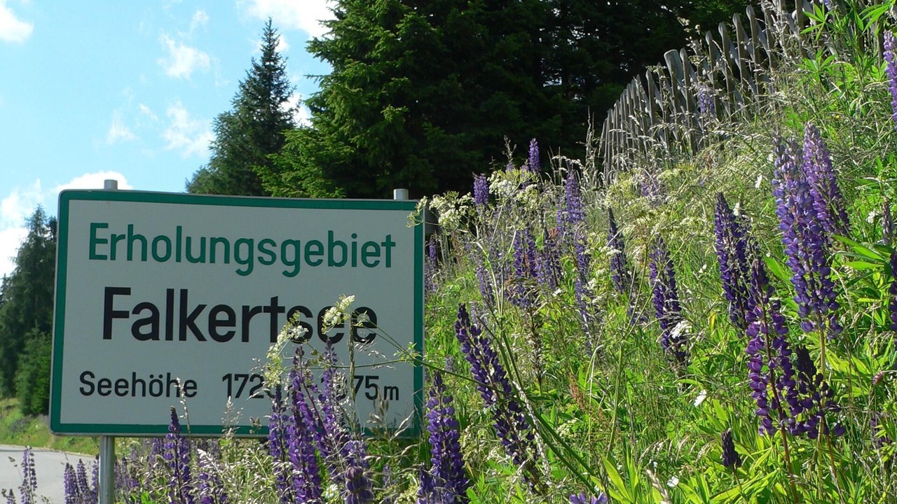 Photo of Outdoor in Falkert