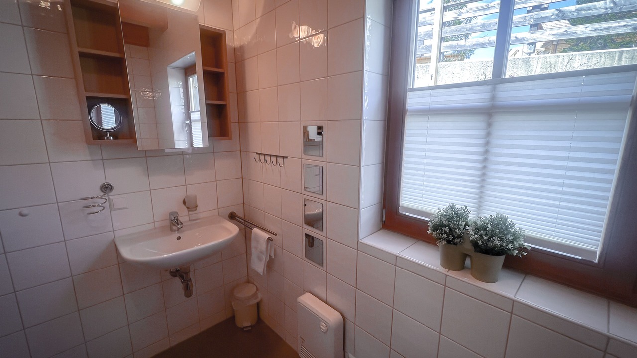 Photo of Bathroom in Reichenau