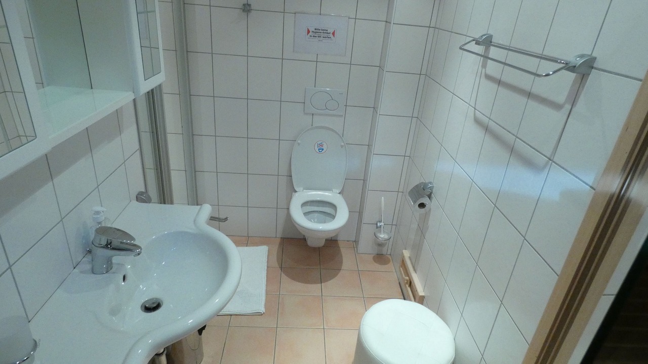 Photo of Bathroom in Reichenau