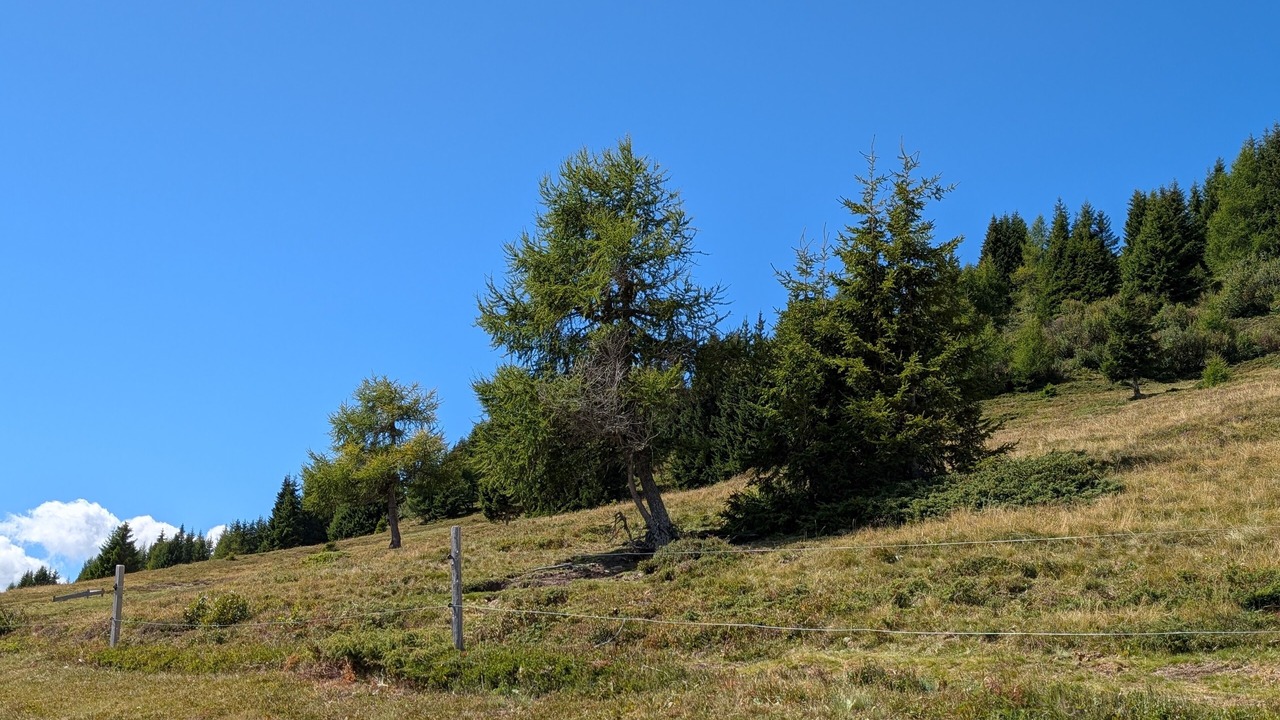 Photo of Others in Bad Kleinkirchheim