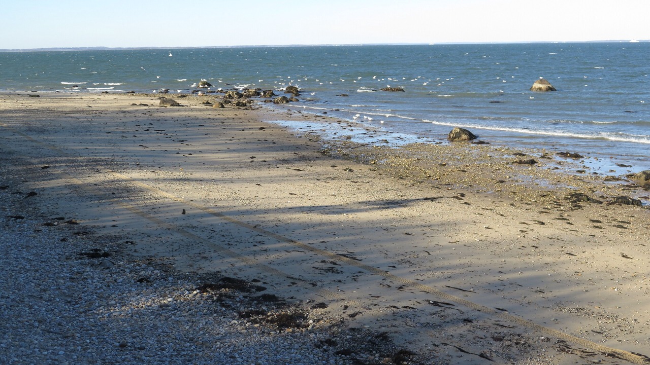 Photo of Others in Northwest Harbor