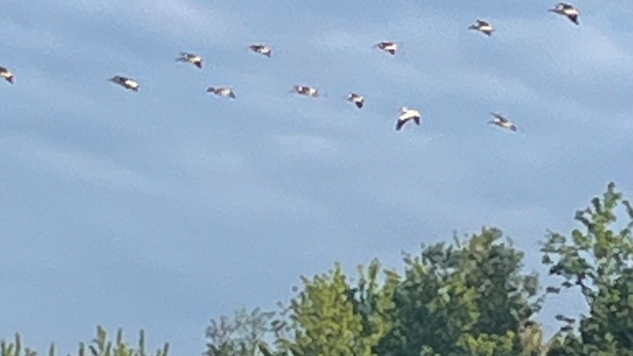 Photo of Others in Grand Mound