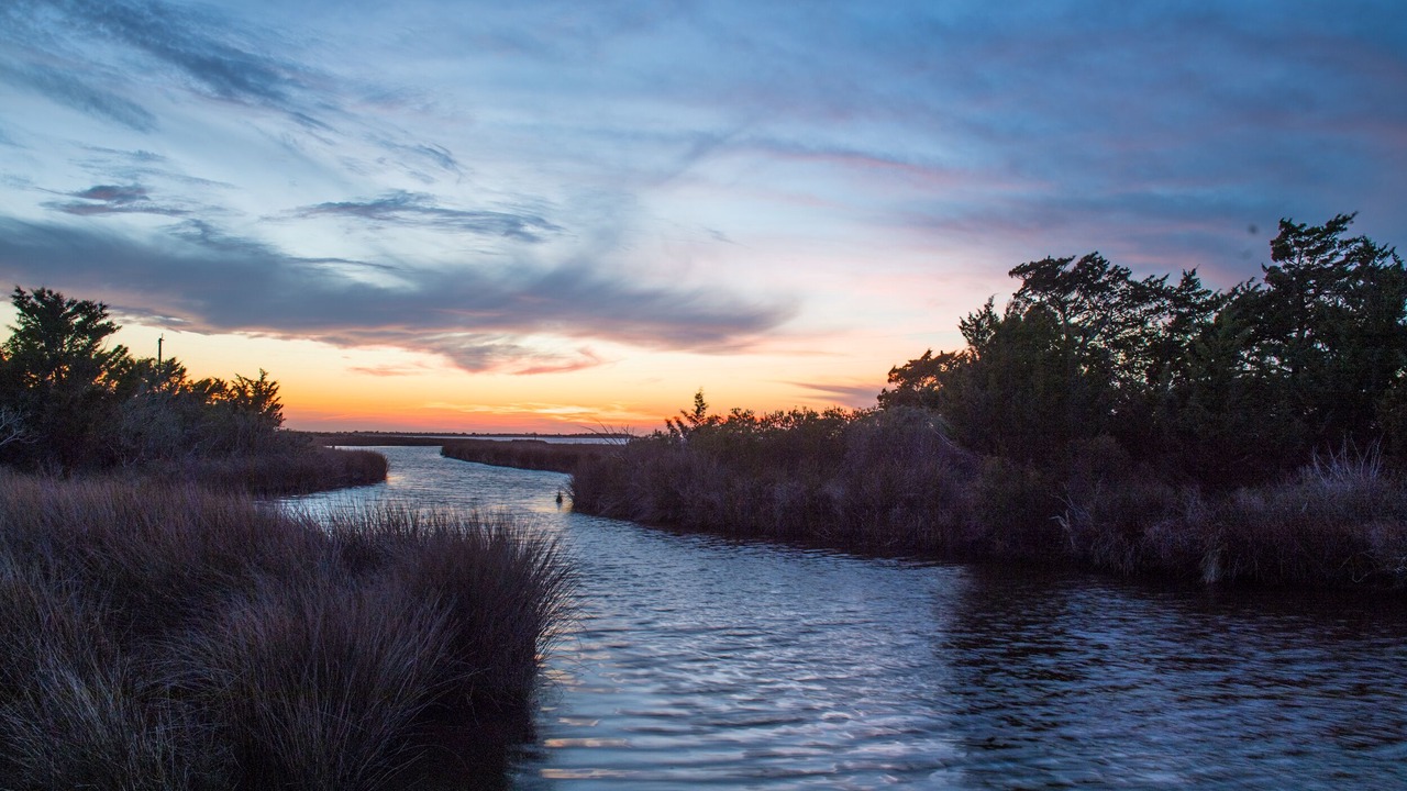 Photo of Others in Kill Devil Hills