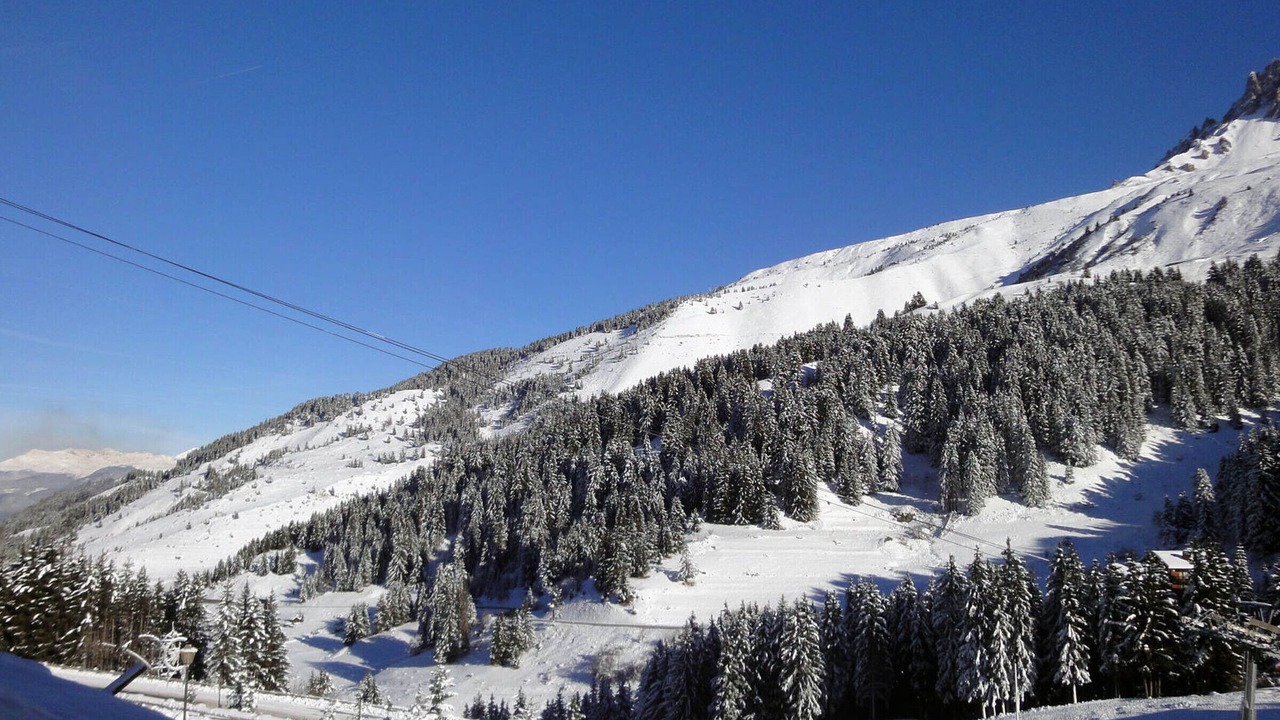 Photo of Others in Meribel-Mottaret