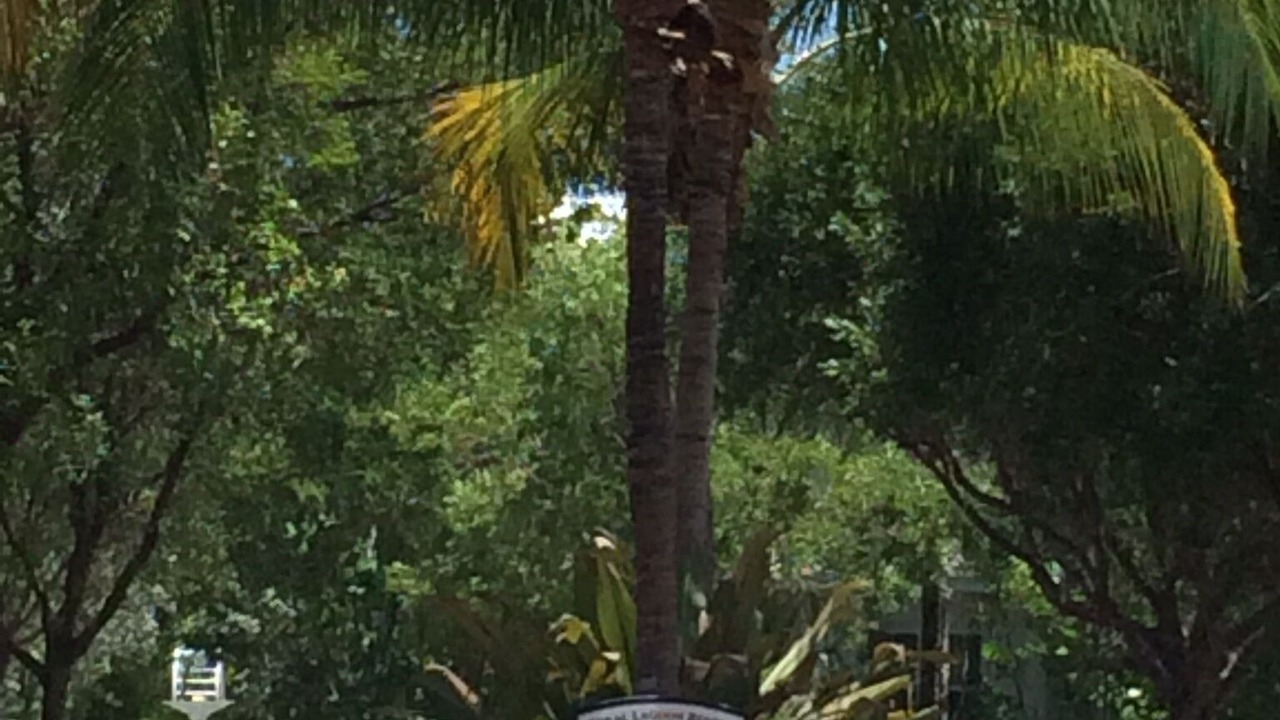 Photo of Outdoor in Coral Lagoon