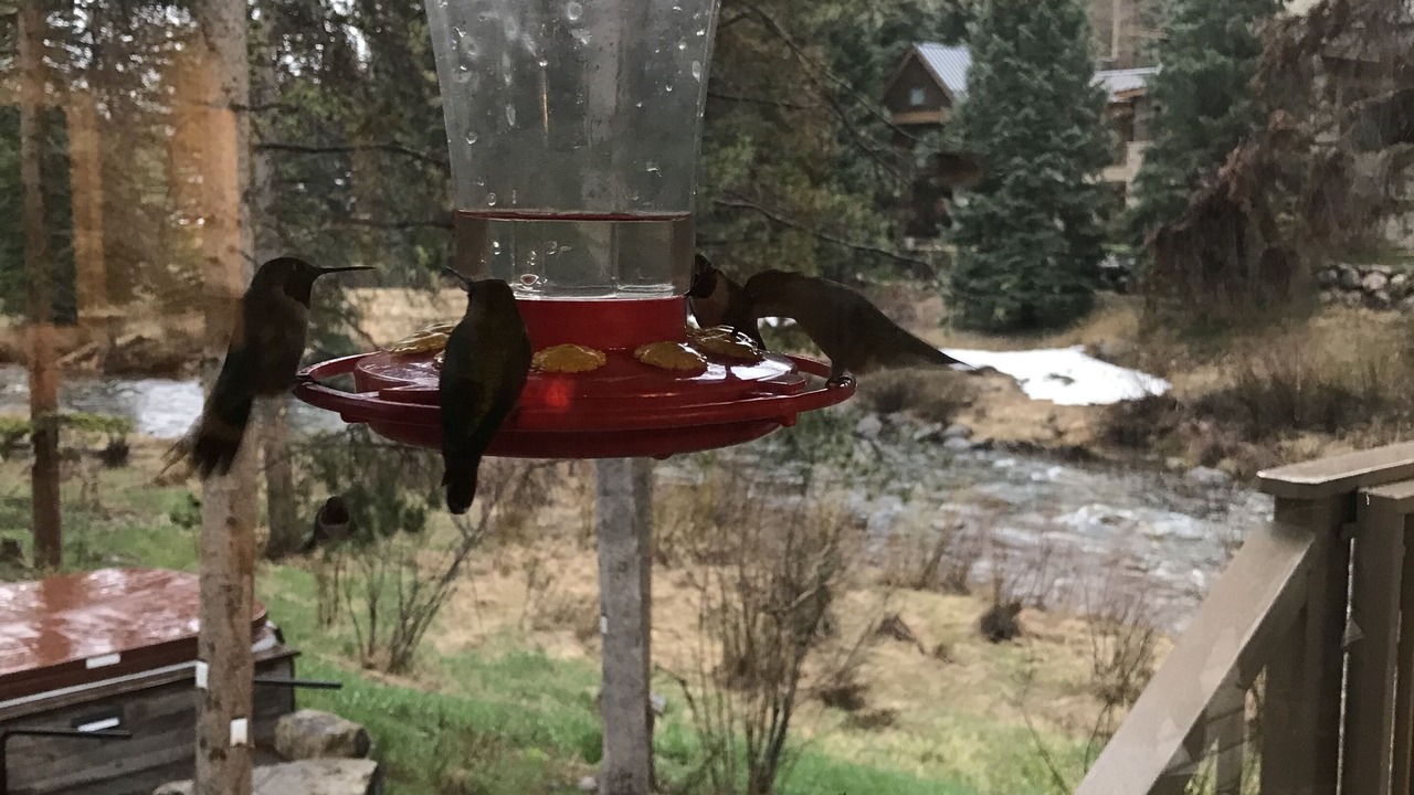 Photo of Outdoor in Vail