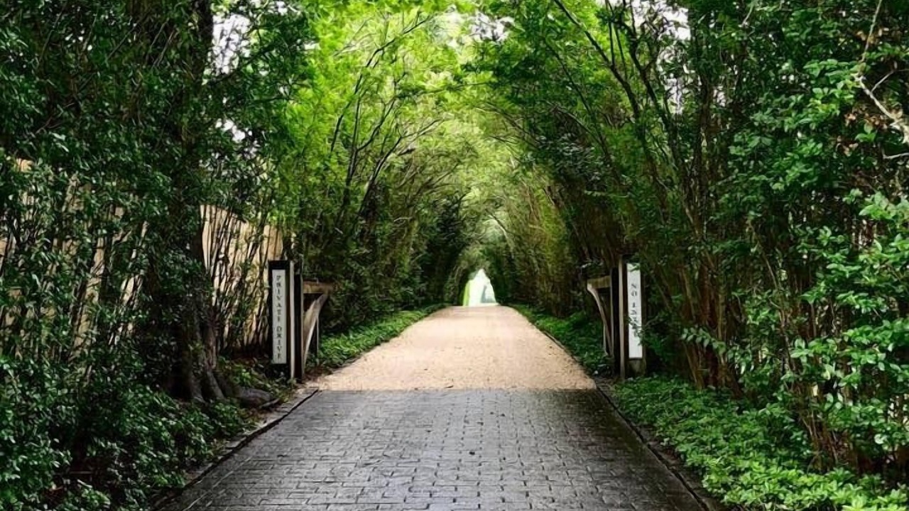 Photo of Others in Egypt Lane Historic District
