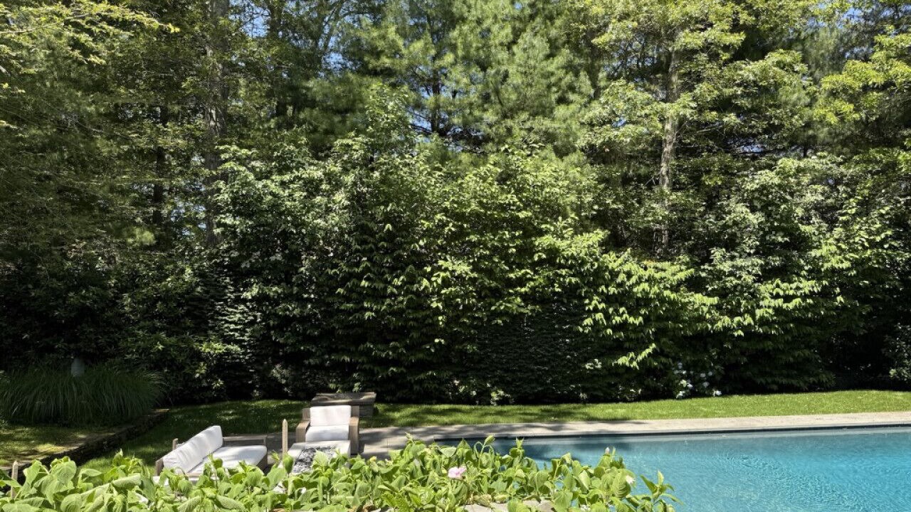 Photo of Outdoor in East Hampton North