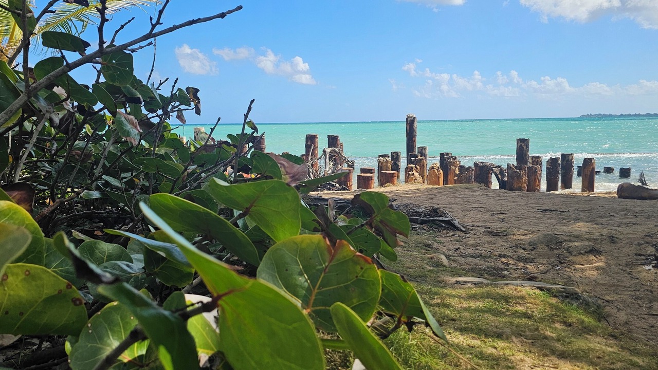 Photo of Others in Punta Las Marias