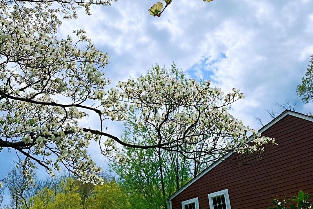 Photo of Outdoor in New Canaan