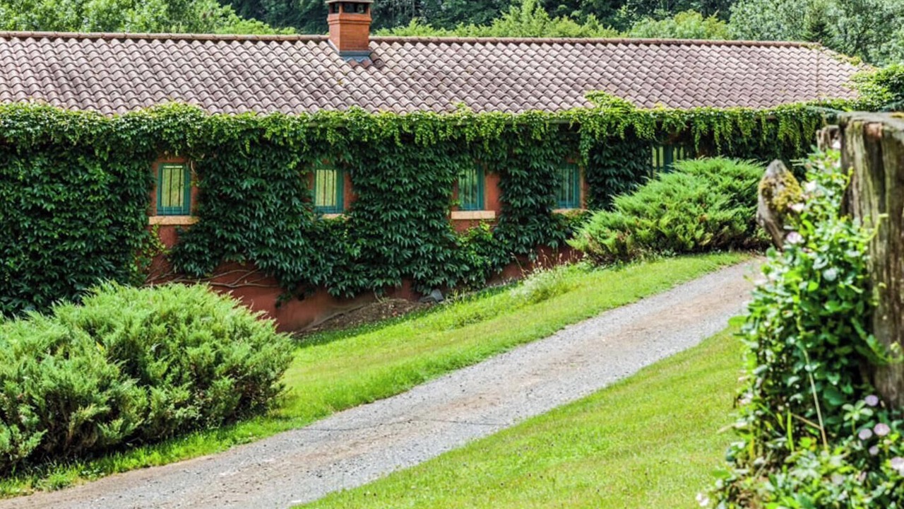 Photo of Outdoor in Lurcieux