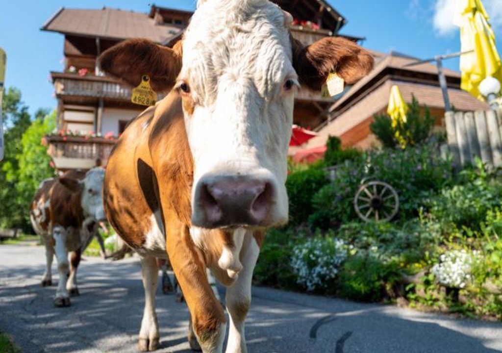Photo of Others in Bad Kleinkirchheim