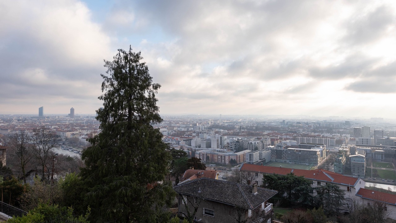 Photo of Bedroom in Lyon City Centre